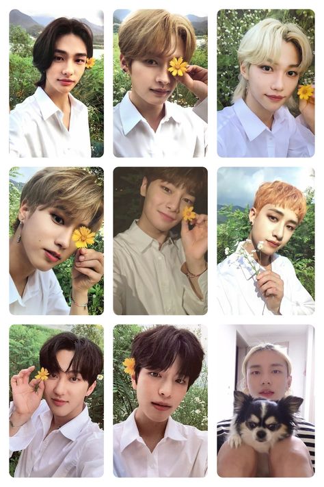 Stray Kids Pc Template, Stray Kids Pc, Pc Template, Kpop Photocards, Photo Cards, Stray Kids, Origami, Ios