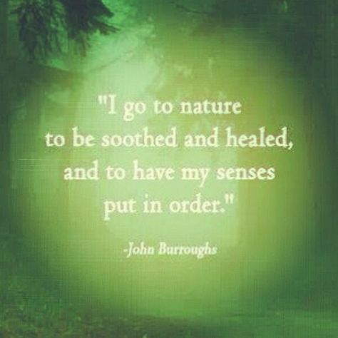 Love Nature Quotes, Quotes About Nature, Nature Quotes Inspirational, Nature Peace, Quotes Nature, Truth Ideas, Fishing Quotes, About Nature, Famous Authors