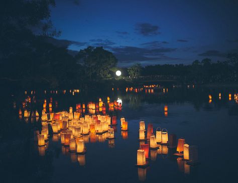 Lantern Festival: In The Spirit Of Obon | Morikami Museum and Japanese Gardens Japanese Lantern Festival, Lantern Aesthetic, Festival Aesthetic, Japanese Lantern, Floating Lanterns, Japanese Festival, Japanese Lanterns, Beyond The Sea, Lantern Festival