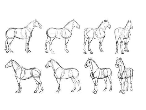 Horse Body Drawing, Body Drawing Base, Horse Sketches, Animal Base, Drawing Horses, Realistic Animal Drawings, Spirit Stallion, Fire Icons, Horse Sketch