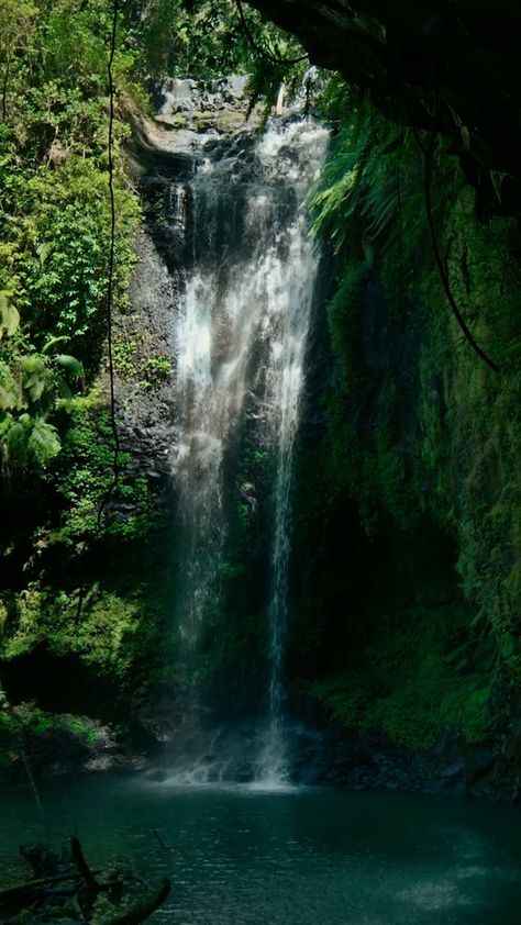 Amazon Forest, Waterfall Photography, Pretty Landscapes, Amazon Rainforest, Fantasy Aesthetic, Beautiful Waterfalls, Nature Aesthetic, Lock Screen, Pretty Places