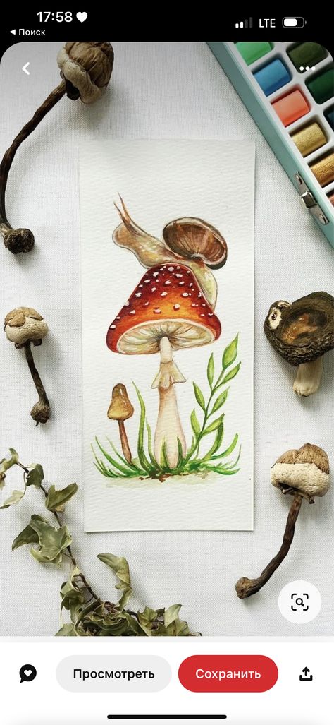 Mushroom Scene Drawing, Watercolor Art Mushrooms, Painting Mushrooms Ideas, Cottagecore Watercolor Painting, Mushroom Watercolor Paintings, Watercolor Mushroom Painting, Watercolour Mushroom, Snail Watercolor, Mushroom Artwork