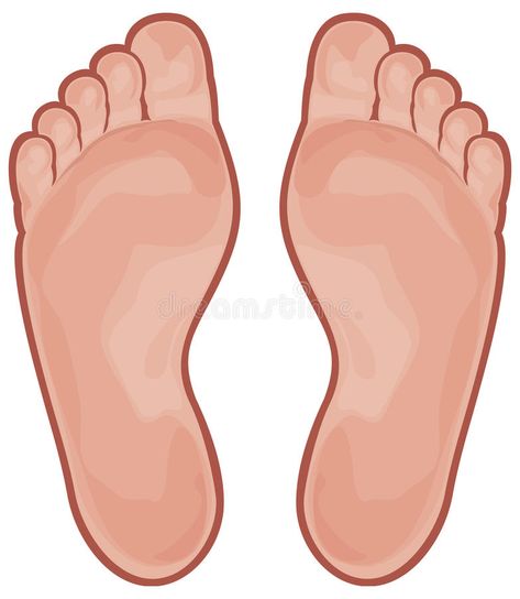 Foot. Human foot, appearance of the human foot , #sponsored, #Human, #Foot, #foot, #human, #appearance #ad Foot Drawing Anatomy, Foot Draw, Foot Illustration, Foot Print Art, Backgrounds Tumblr Pastel, Community Helpers Preschool Crafts, Small Business Ideas Startups, Pie Grande, Feet Drawing