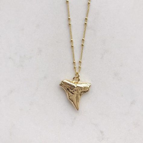 Dainty shark tooth necklace, Dalicate shark charm, Shark jewelry, Ocean necklace, Small tooth neckla Gold Shark Tooth Necklace, Shark Tooth Necklace Gold, Shark Jewelry, Gold Medallion Necklace, Surf Jewelry, Shark Necklace, Ocean Necklace, Gold Chain Choker, Shark Tooth Necklace