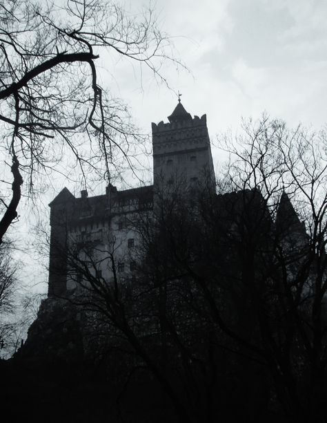 Dracula's castle - Romania Romania Vampire Aesthetic, Draculas Castle Aesthetic, Dracula Castle Aesthetic, Romania Aesthetic Dark, Romania Vampire, Dracula Moodboard, Draculas Castle Romania, Victorian Gothic Aesthetic, Castle Dracula