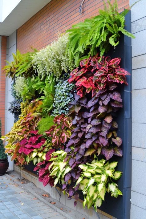 https://youtu.be/MViCx_xkNJg Green Wall Ideas, Fence Trellis, Living Wall Garden, Green Wall Garden, Outdoor Planter Ideas, Vertical Garden Wall Planter, Green Wall Design, Vertical Vegetable Gardens, Wall Green