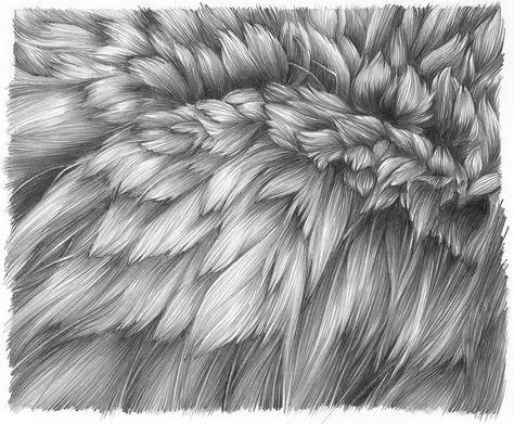 Beautiful illustration of wolf fur How To Draw Fur, Painting Fur, Foto Transfer, Drawing Hair, Texture Drawing, Fur Texture, Wolf Drawing, Animal Fur, Realistic Drawings