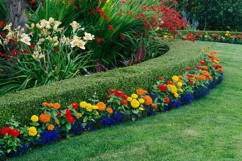 landscaping with hedges and marigolds Boxwood Landscaping, Metal Garden Fencing, Small Yard Landscaping, Backyard Landscape, Easy Landscaping, Landscape Plans, Landscaping Tips, Garden Edging, Garden Borders