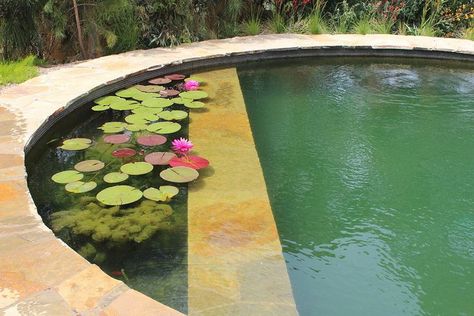 Round Plunge Pool, Trough Pool, Pool With Water Feature, Horse Trough, Bio Pool, Swimming Pool Pond, Natural Swimming Ponds, Water Trough, Pool Water Features