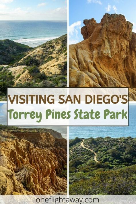 Torrey Pines State Natural Reserve | 52 in 52 - Episode 7 Torrey Pines State Reserve, Carribean Travel, Visit San Diego, Budget Friendly Travel, Torrey Pines, Sea To Shining Sea, California Vacation, United States Travel, Travel Itinerary