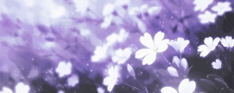 Pretty Gif, Gif Background, Picture Banner, Moving Backgrounds, Animated Banners, Cute Headers, Header Pictures, Banner Gif, Anime Cover Photo