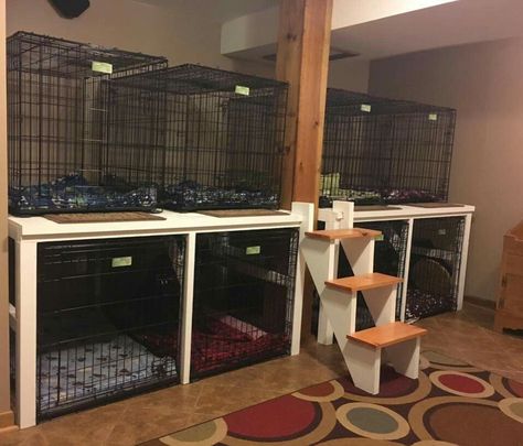 Foster Pet Room, Dog Room Ideas For Multiple Dogs, Small Kennel Ideas, Stacked Dog Crates Diy, Multi Dog Kennel Ideas Indoor, Home Dog Kennel Ideas, Dog Grooming Bandana Storage, Dog Kennel Set Up Ideas, Dog Room Office Combo