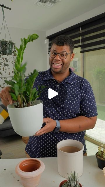 How To Repot A Plant, Repotting House Plants, Decorating With Plants, Repotting Plants, Gardening Indoors, Houseplant Care, Plant Care Houseplant, Plants Decor, Problem Solved