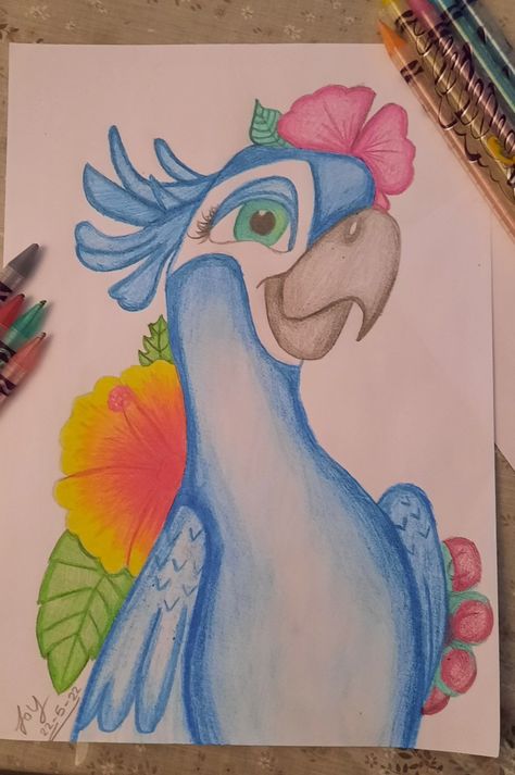 Rio Bird Drawing, Easy Drawings Crayons, Drawing Colored Pencil Easy, Drawing Ideas Easy Color, Animated Animals Drawings, Something Cool To Draw, Rio Drawing, Drawing Ideas With Color, Cartoon Bird Drawing