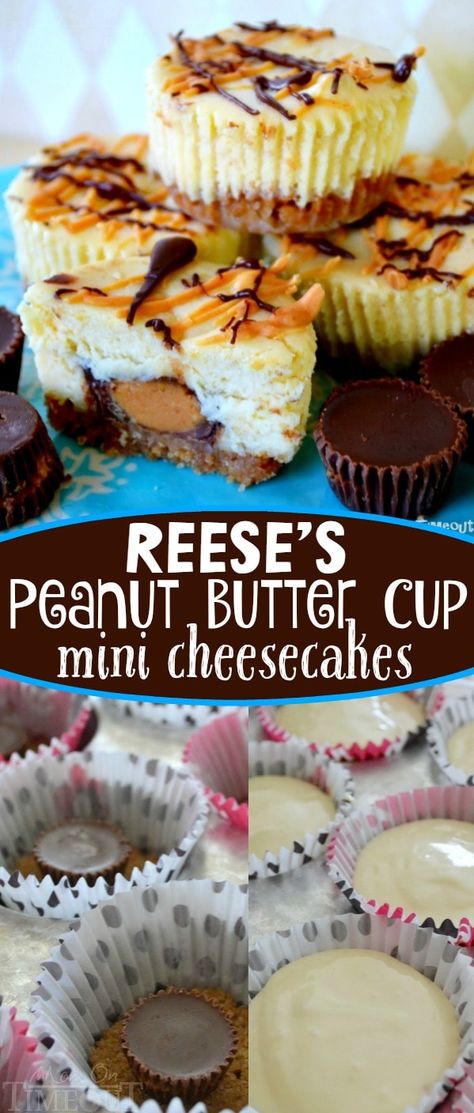 Reeses Cheesecake, Dessert Crepes, Dessert Halloween, Reese's Peanut Butter Cup, Dessert Mini, Coconut Dessert, Mini Cheesecake Recipes, Torte Cupcake, Chocolate And Peanut Butter