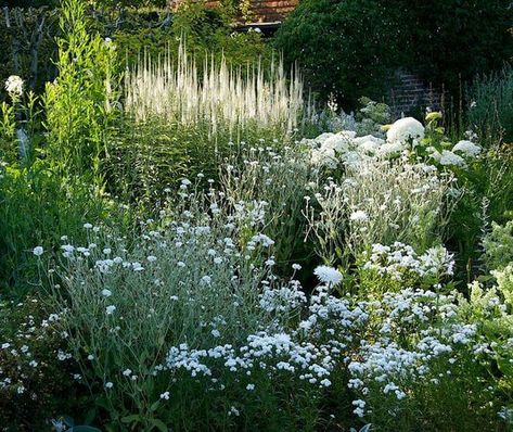 Flower Aesthetic White, White Flower Aesthetic, White Flowers Aesthetic, White Flower Arrangement, Sissinghurst Garden, Hampton Garden, Sissinghurst Castle, White Flowers Garden, Cottage Garden Plants