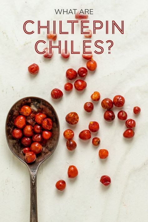 Chiltepin Dried Chiles Salsa Dip, Peppers Recipes, American Southwest, Chili Pepper, Stuffed Hot Peppers, The Table, Red Peppercorn, Peppers, Salt And Pepper