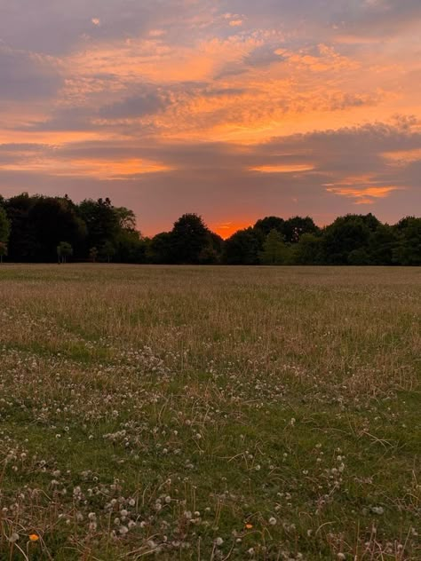 Gloaming Aesthetic, Fujifilm Quicksnap, 35mm Camera, Sky Pictures, Look At The Sky, Pretty Landscapes, Nature Green, Pretty Sky, Sunset Pictures