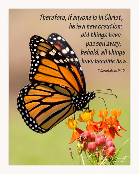 Butterfly Scripture, Beautiful Butterflies Quotes, On The Wings Of Love, Encouragement Quotes Christian, Bible Study Help, Butterfly Quotes, New Creation, Walk By Faith, Scripture Quotes