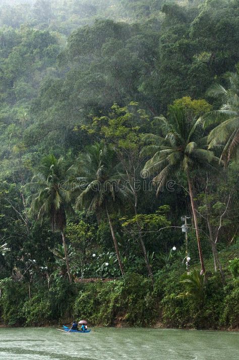 Rainy Tropical Aesthetic, Rainy Island Aesthetic, Rainy Jungle Aesthetic, Tropical Storm Aesthetic, Jungle Explorer Aesthetic, Tropical Rainforest Aesthetic, Rainy Rainforest, Tropical Jungle Aesthetic, Rainy Jungle