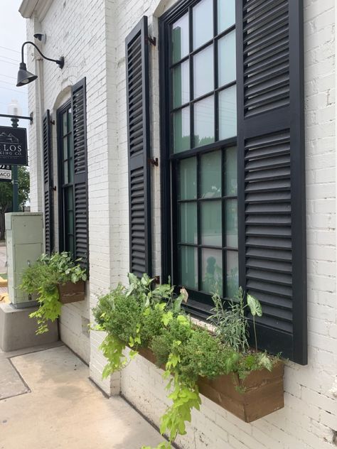 Garden Ideas To Make, Magnolia Gardens, Magnolia Farms, House Shutters, Waco Texas, Magnolia Market, Window Shutters, Magnolia Homes, Window Boxes