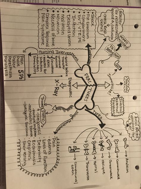 Hip Fracture Nursing, Fractures Nursing, Orthopaedic Nursing, Musculoskeletal Nursing, Nursing Flashcards, Orthopedic Nursing, Nursing School Life, Vet Tech School, Vet Tech Student
