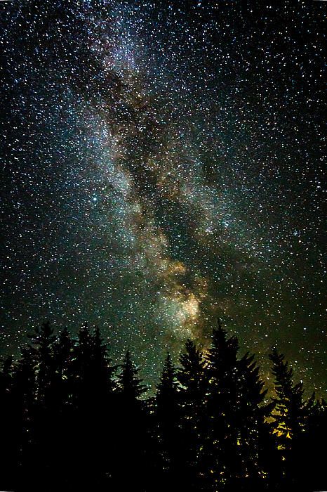 Pretty Stars, Starry Forest Aesthetic, Camping Under The Stars Aesthetic, Dark Starry Sky, Star View Night Skies, Dark Blue Starry Sky, Calming Pictures, Million Stars, I See Stars