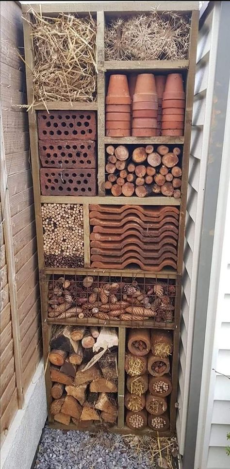 Dream House Garden, Arizona Decor, Butterfly Habitat, Bee Hotel, Bug Hotel, Mason Bees, Insect Hotel, Garden Bugs, Garden Insects