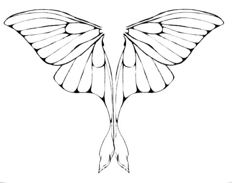 Luna Moth Wing design Moth Drawing, Moth Wings, Wings Drawing, Tattoos Geometric, Moth Tattoo, Tattoos Skull, Luna Moth, Wings Design, Fairy Wings