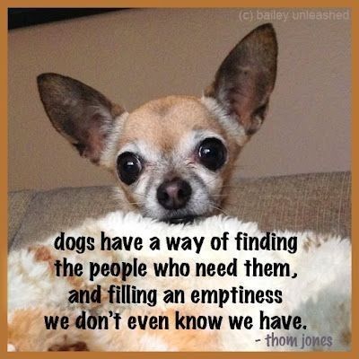 Dog Heaven Quotes, Chihuahua Quotes, Dog Poems, Chihuahua Art, Chihuahua Mom, Until We Meet Again, Chihuahua Funny, Dog Quotes Love, Chihuahua Lover