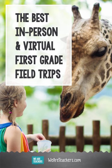 Nature Based Learning, Homeschool Field Trips, Creative Lesson Plans, Life Under The Sea, We Are Teachers, Social Studies Elementary, Virtual Field Trips, Monterey Bay Aquarium, Virtual Classroom