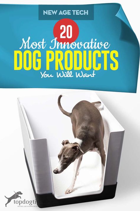 Collapsible Dog Crate, Dog Gadgets, Pet Camera, Dog Information, Rat Terriers, Dog Safety, Dog Products, New Dog, Dog Door