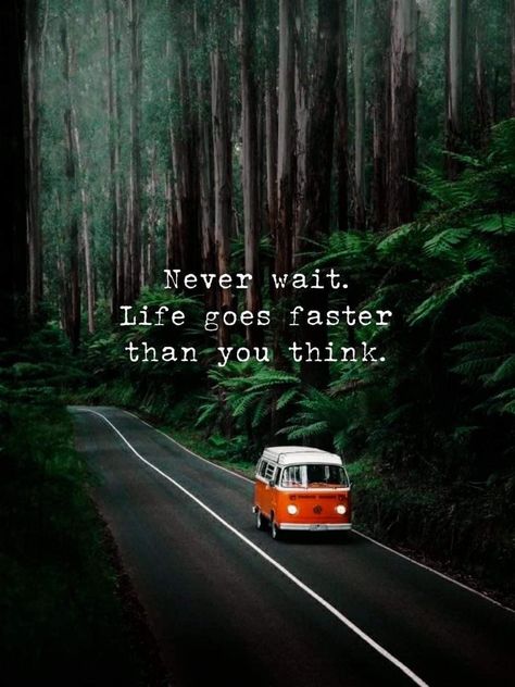 Motivational Memes, Daily Quotes Positive, Vacation Humor, Best Travel Quotes, Travel Quotes Inspirational, Truth Of Life, Canvas Quotes, Daily Inspiration Quotes, Open Road