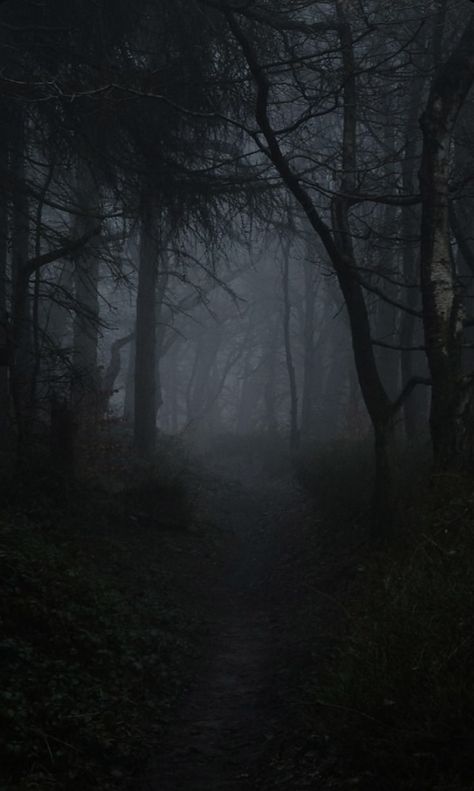 Trees, Dark Forest, In The Woods, In The Middle, The Middle, Forest