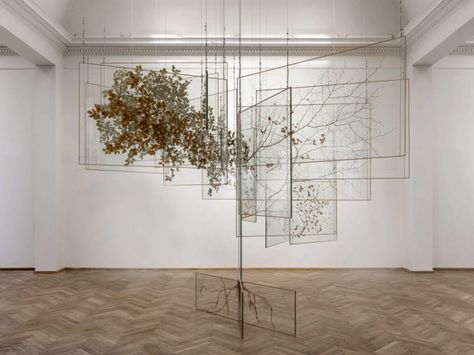 NOWs: Tempus circularis Fagus sylvatica by Rune Bosse | Institut für… Baroque Sculpture, Studio Olafur Eliasson, Fagus Sylvatica, Olafur Eliasson, Beech Tree, Spring Blossoms, Tree Sculpture, Art Installation, Land Art