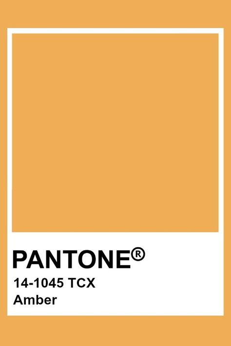 Pantone Amber Tcx Pantone, Apricot Colour, Highlight Colors, Pantone Tcx, Pantone Colours, Yellow Pantone, Pantone Color Chart, Pantone Swatches, Pantone Palette