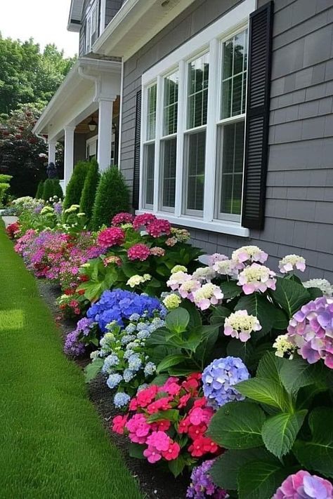 Flower Beds In Front Of House Hydrangea, Flower Bed Designs Layout, Hydrangea Landscaping, Tattoo Plant, Flower Bed Designs, Front Garden Landscape, Small Front Yard Landscaping, Garden Flower Beds, Flower Bed Ideas