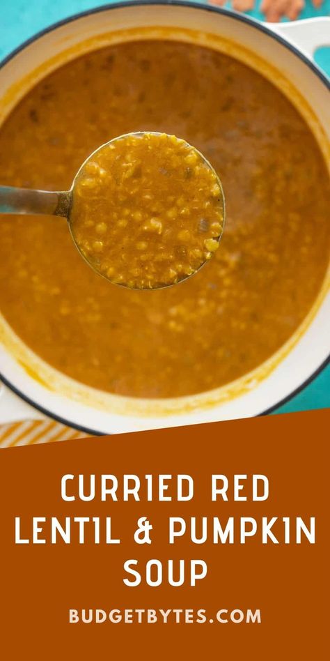 This Curried Red Lentil and Pumpkin Soup is super fast and easy, and will keep you warm from the inside out on chilly fall evenings! Curried Pumpkin Soup Recipe, Pumpkin Lentil Soup, Red Curry Lentils, Pumpkin Soup Healthy, Red Lentil Recipes, Red Lentil Soup Recipe, Curried Lentil Soup, Lenten Recipes, Pumpkin Curry