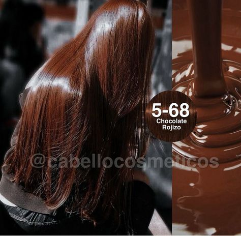 Balayage, Hair Colour For Asian Skin, Hair Color Ideas For Green Eyes, Pelo Color Chocolate, Igora Hair Color, Castaño Chocolate, Cabello Color Chocolate, Cola Hair, Pelo Chocolate