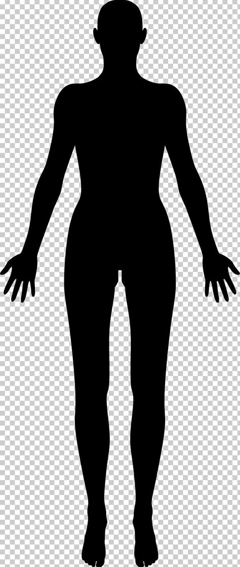 The Human Body Aesthetic, Body Sillhoute, Body Silhouette Art, Body Silhouette Drawing, Human Body Silhouette, Human Body Outline, Human Png, Girl Outlines, Body Silhouette