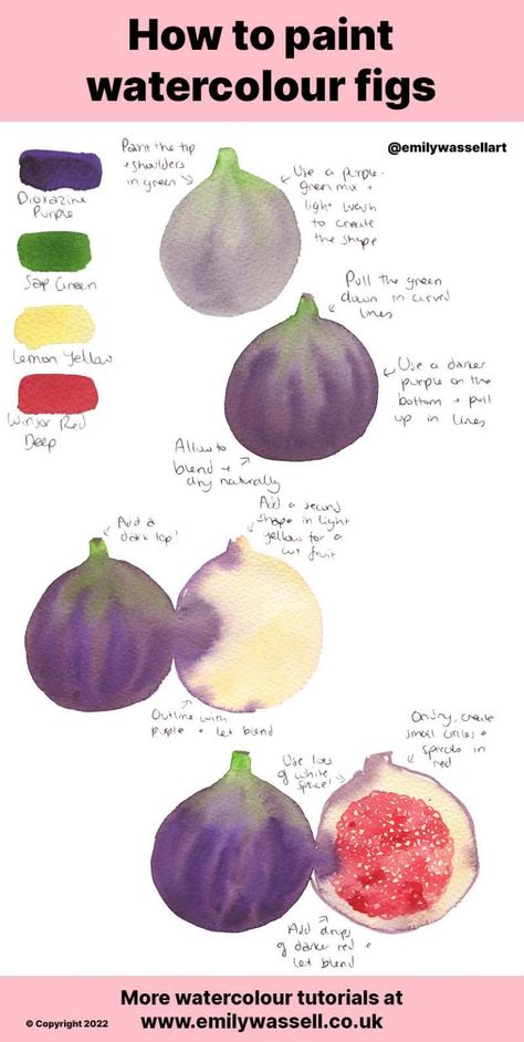 How to Paint Watercolour Figs - Tutorial - Emily Wassell Fig Watercolor Painting, Fig Color Palette, Watercolor Worksheet, Fig Watercolor, Fig Painting, Watercolor 101, Small Watercolor, Step By Step Watercolor, Coloring Techniques