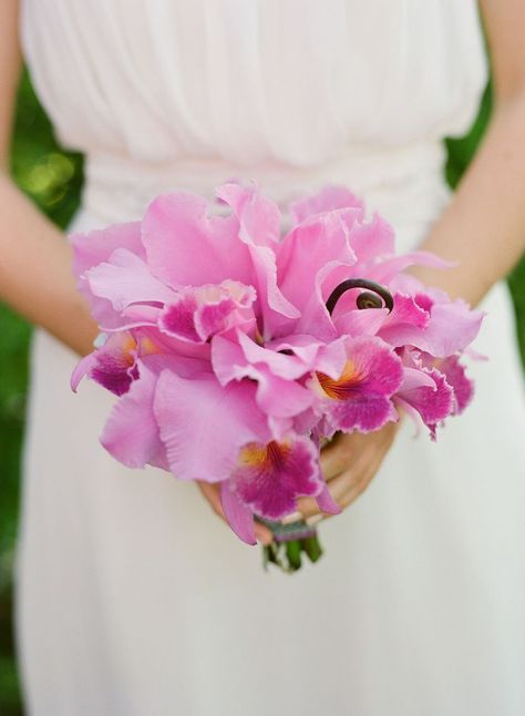 Orchid+Wedding+Bouquets | orchid flowers Orchid Wedding Bouquets, Cattleya Flower, Backyard Flower Garden, Bouquet Orchid, Royal Bouquet, Spring Backyard, Kauai Elopement, Orchid Bouquet Wedding, Fav Flower