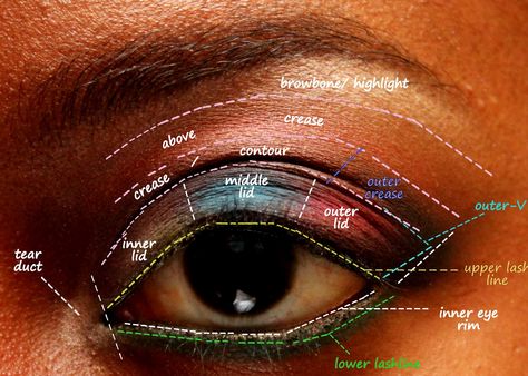 Eye diagram for make! Helpful for beginners. Inner Corner Eyeshadow, Corner Eyeshadow, Makeup Map, Eye Map, Eyeshadow For Blue Eyes, Applying Eye Makeup, Bluish Green, Highlighter Makeup, Day In The Life