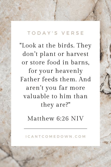 Matthew 6 26, Todays Verse, Store Food, Matthew 6, Women Helping Women, Verse Of The Day, Scripture Quotes, Heavenly Father, The Birds