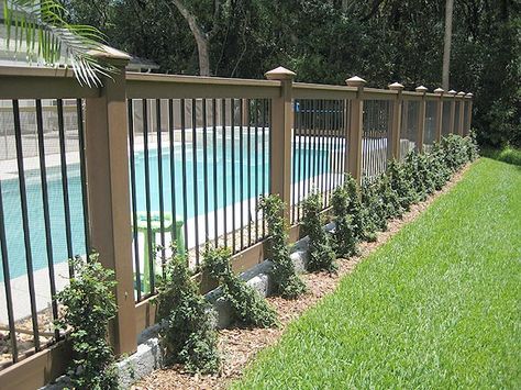 View these 16 pool fencing ideas for your backyard pool. Pool fencing requirements, laws and cost can vary by state so be sure to check with your city. Diy Pool Fence, Fence Around Pool, Concrete Patios, Backyard Privacy, Diy Fence, Backyard Pool Landscaping, Diy Pool, Pool Fence, Fence Landscaping