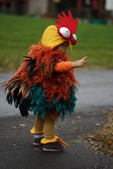 Chicken Costume Diy, Diy Laundry Room Shelves, Rooster Costume, Halloween Makeup Tutorial Easy, Chicken Costume, Shelves And Storage, Diy Couples Costumes, Chicken Costumes, Baby Chicken