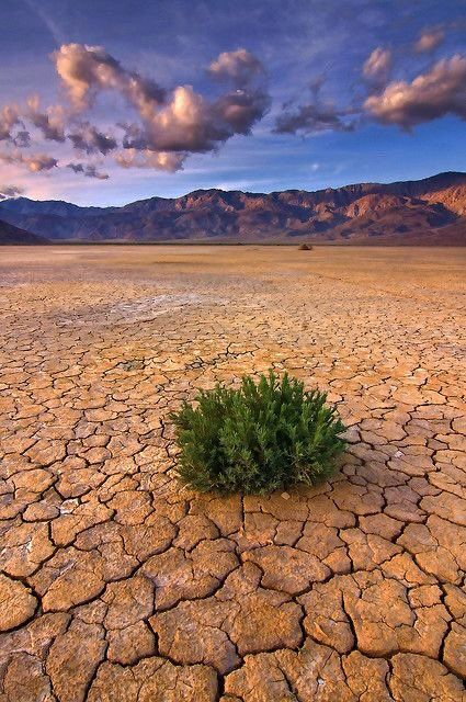 Anza Borrego State Park, Borrego Springs, Anza Borrego, Deserts Of The World, Desert Dunes, Into The West, Sky Light, California Desert, Desert Vibes