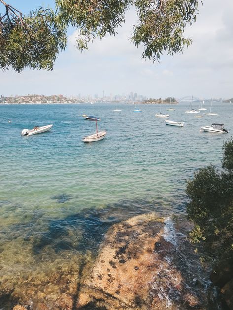 Watsons Bay Sydney, Rose Bay Sydney, Rose Bay, Harbour Bridge, Sydney Harbour, Secluded Beach, Sydney Australia, Travel Ideas, 1 Year