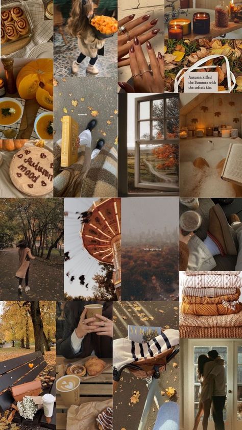 October Mood Board Aesthetic, September Aesthetic Month, September Wallpaper Iphone, Romanticising Autumn, November Mood Board, October Mood Board, September Mood Board, November Moodboard, Autumn Mood Board