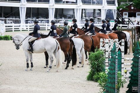 Winning Horse Show, Hunter Horse Show Aesthetic, Horse Show Aesthetic, Hunter Jumper Aesthetic, Horse Girl Outfits, Horse Girl Aesthetic, Riding Aesthetic, Hunter Jumper Horses, Horse Showing